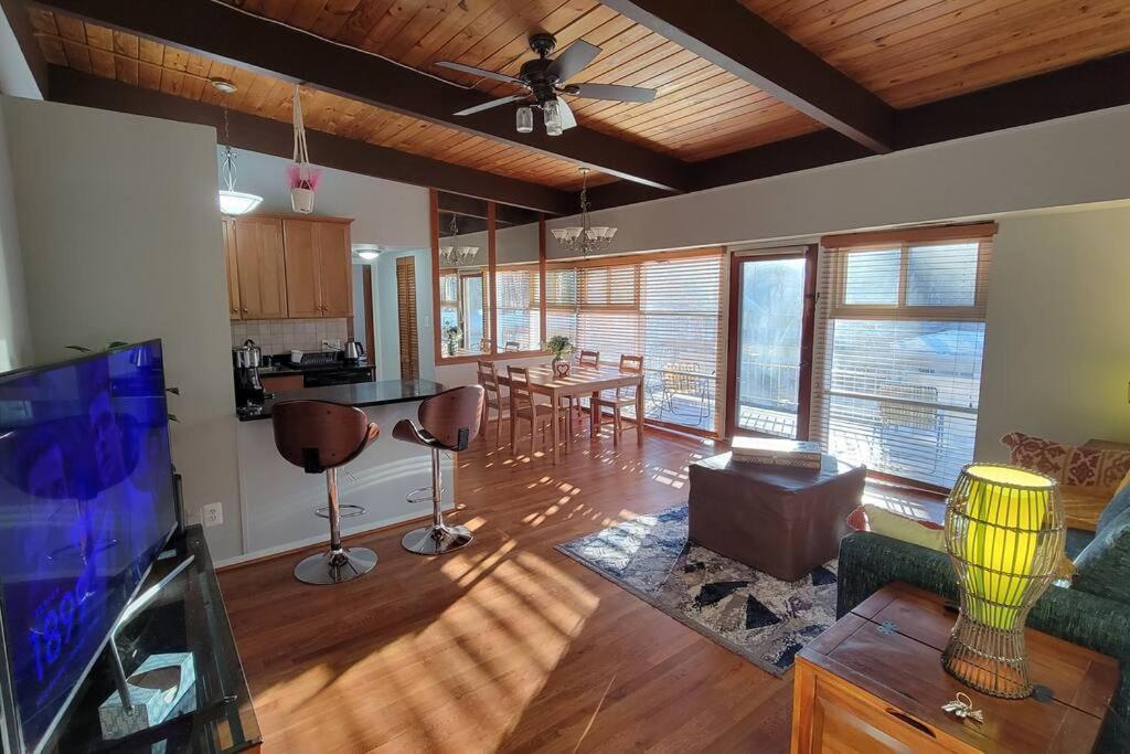 Entire One Bedroom Apartment 安嫩代尔 外观 照片