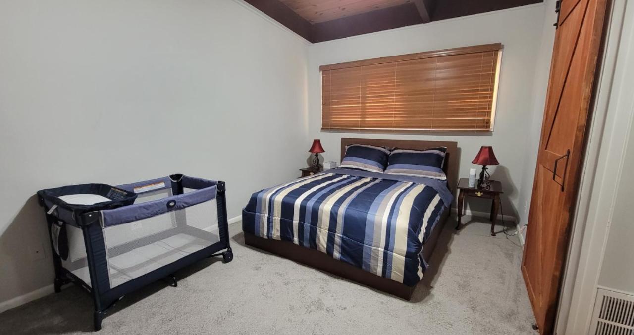 Entire One Bedroom Apartment 安嫩代尔 外观 照片