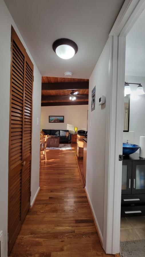Entire One Bedroom Apartment 安嫩代尔 外观 照片