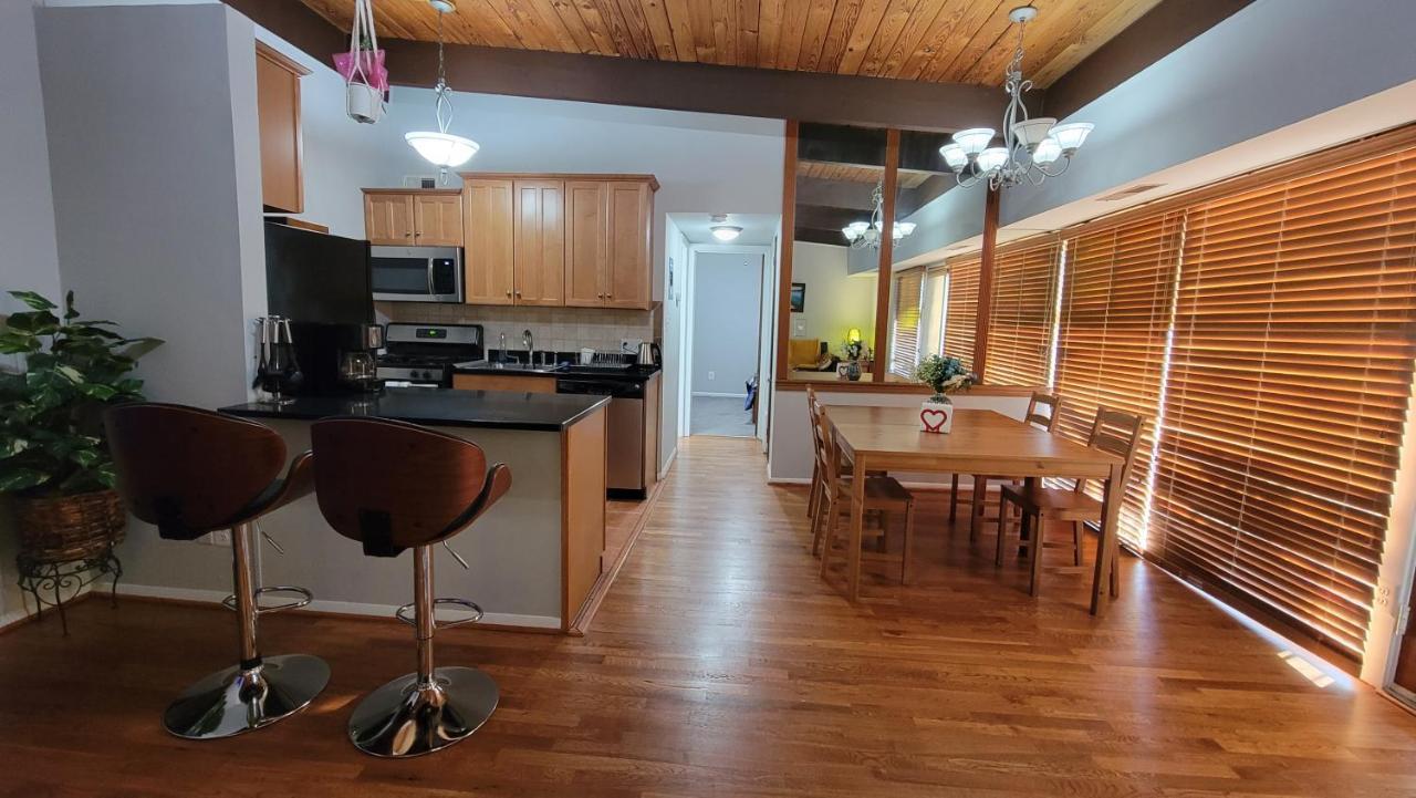 Entire One Bedroom Apartment 安嫩代尔 外观 照片