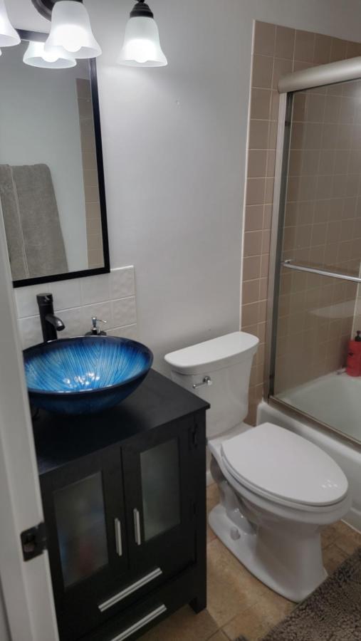 Entire One Bedroom Apartment 安嫩代尔 外观 照片